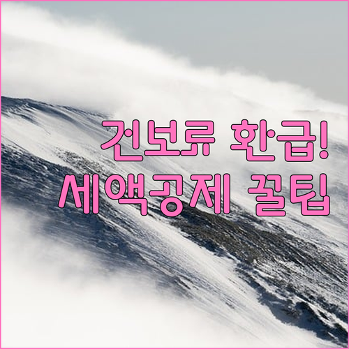 건강보험료 연말정산 고지서 조회 및 ..