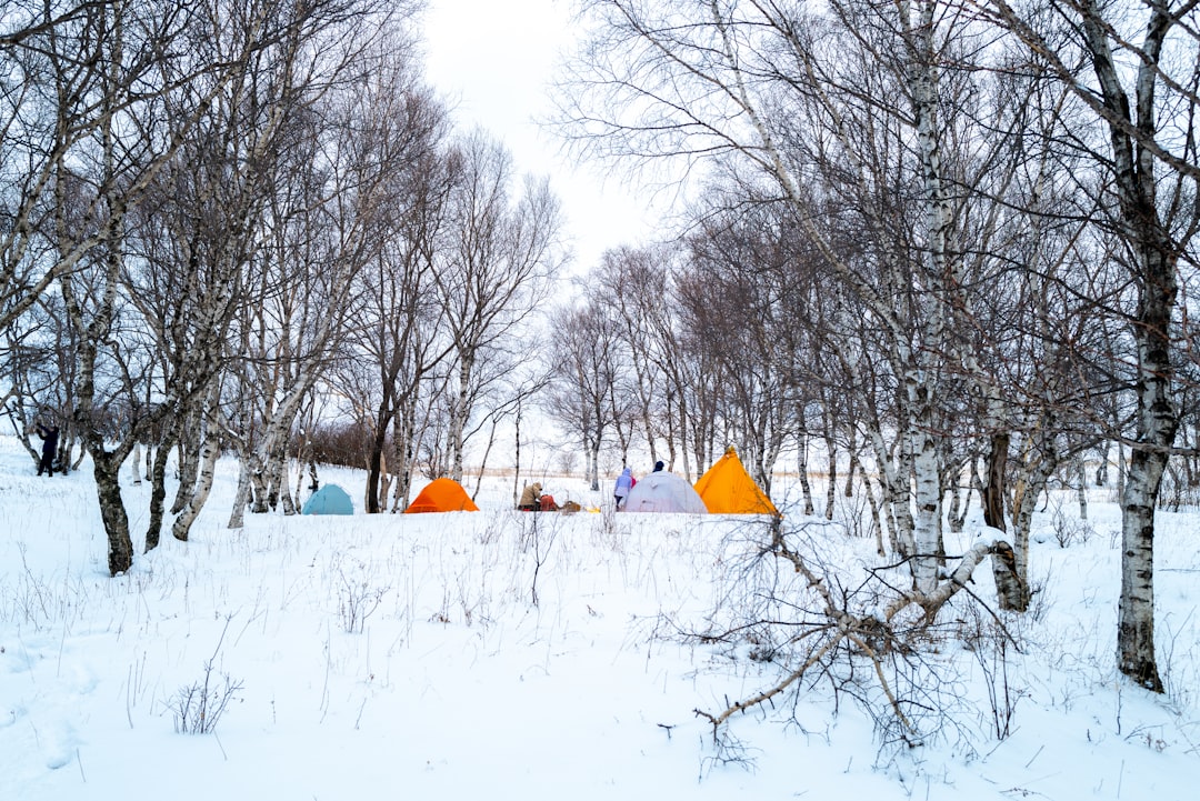 'Camping'