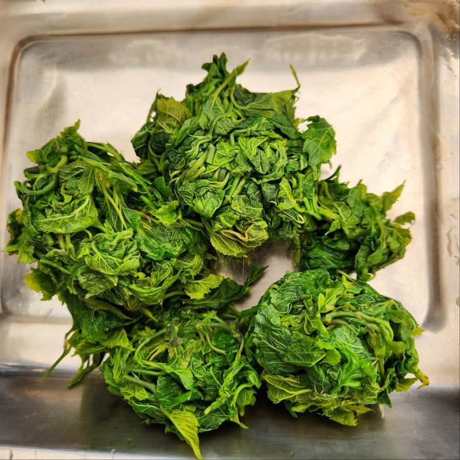 뽕잎순무침