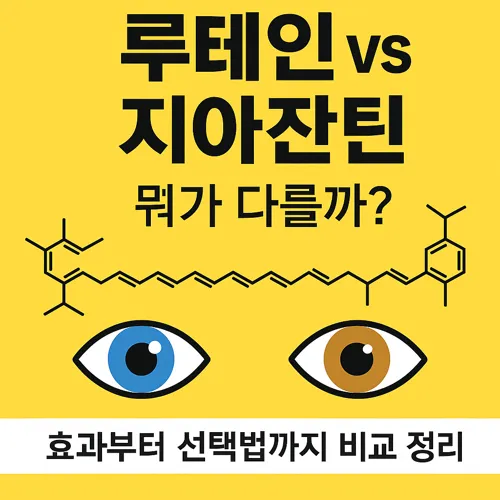 루테인 지아잔틴 효능 비교