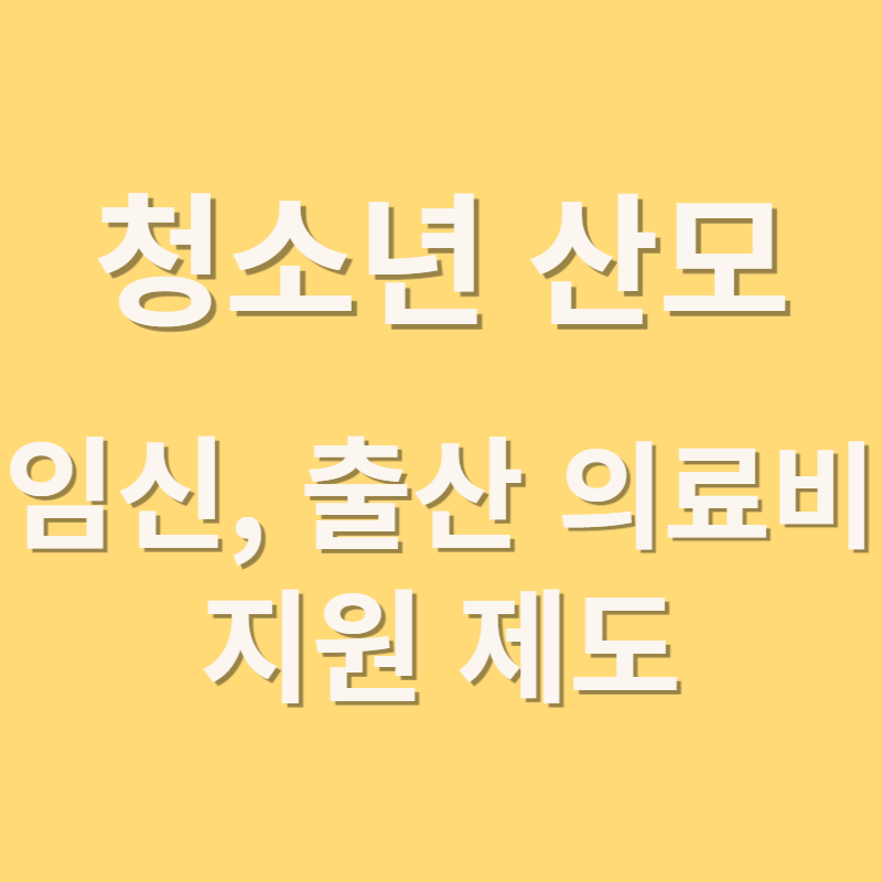 청소년 산모 임신,출산 의료비 지원제도