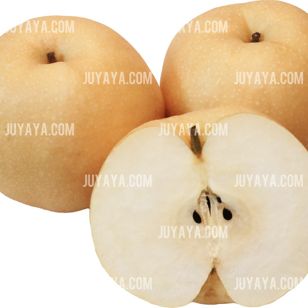 흰 배경 위에 놓인 세 개의 배와 반으로 자른 배의 단면. 기관지 건강에 효과적인 겨울 제철 과일.