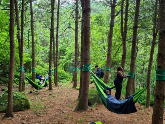 국립산림치유원