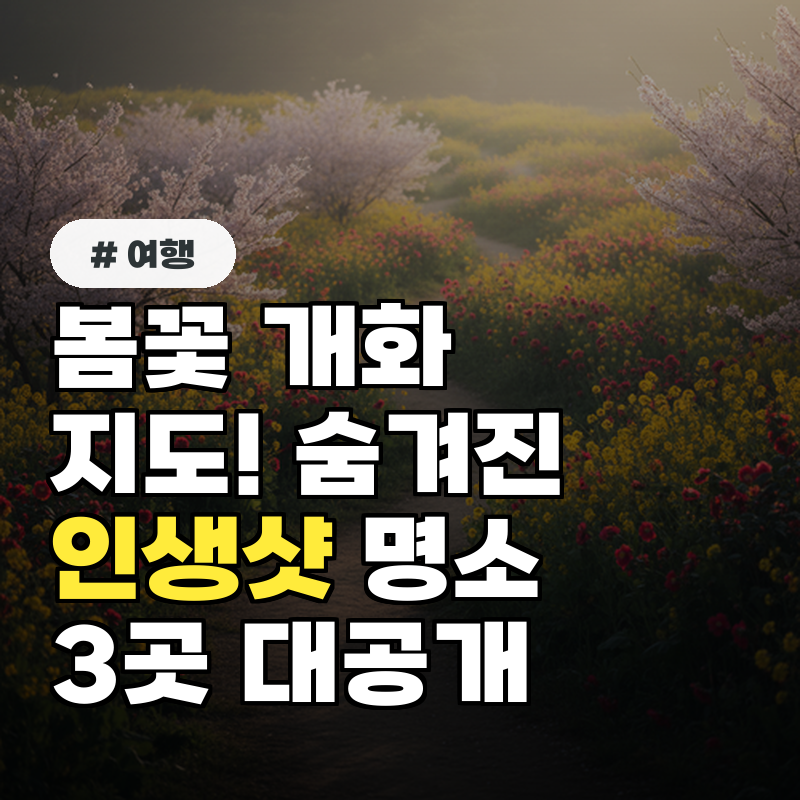 봄꽃 개화 지도! 숨겨진 인생샷 명소 3곳 대공개
