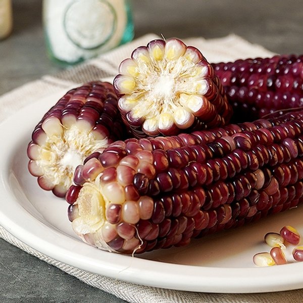 흑찰옥수수 효능