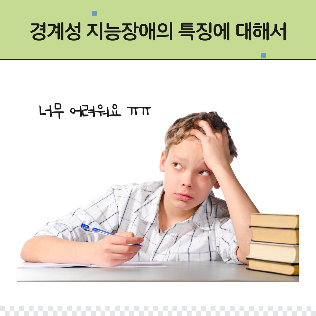 경계성 지능장애 특징