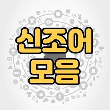 신조어 모음