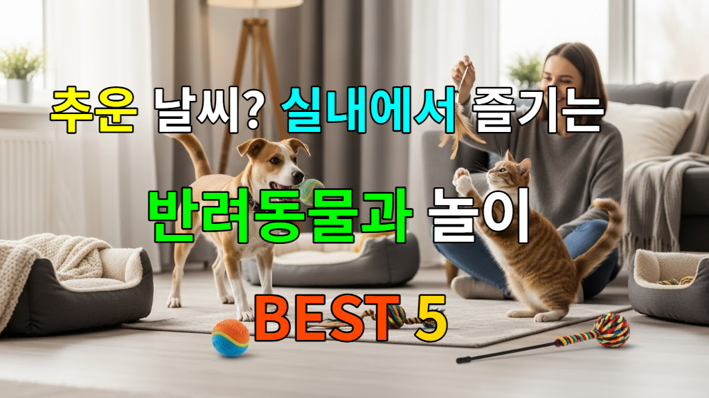 따뜻한 실내에서 보호자와 함께 즐겁게 놀고 있는 강아지와 고양이