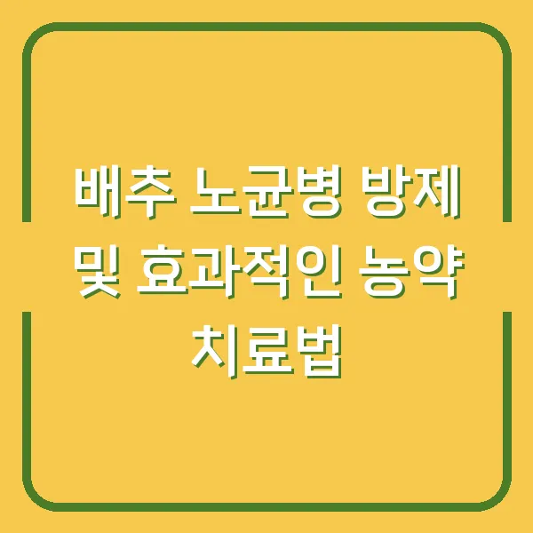 배추 노균병 방제 및 효과적인 농약 치료법