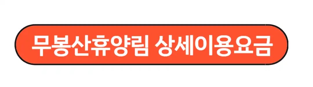 상세이용요금