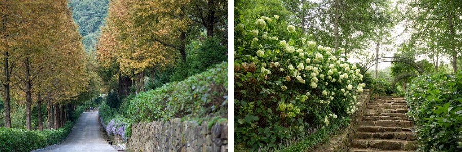 고성 그레이스 정원(1)