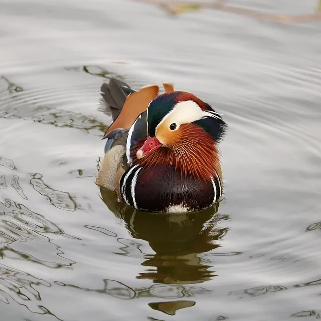 가냘픈 갸날픈 맞춤법 뜻 의미 사용법_8