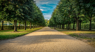 비건 산업의 경제학 (투자, 스타트업, 그리고 미래 시장)