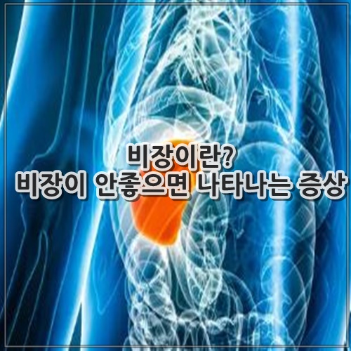 비장이란? 비장이 안좋으면 나타나는 증상