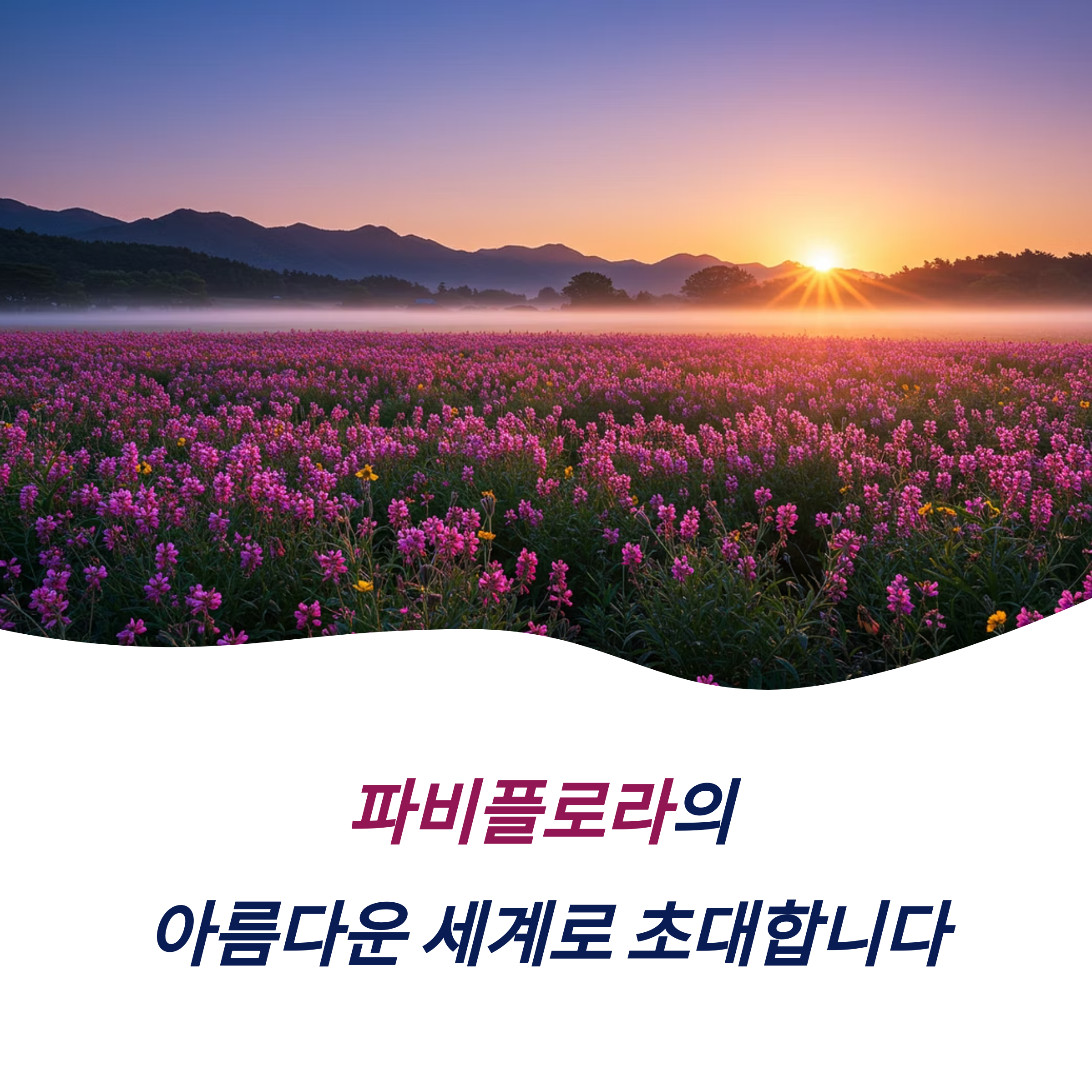 파비플로라 특징 종류 활용 분야 관리 방법 트렌드
