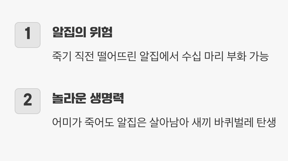 죽어서도 남기는 마지막 선물, '알집'