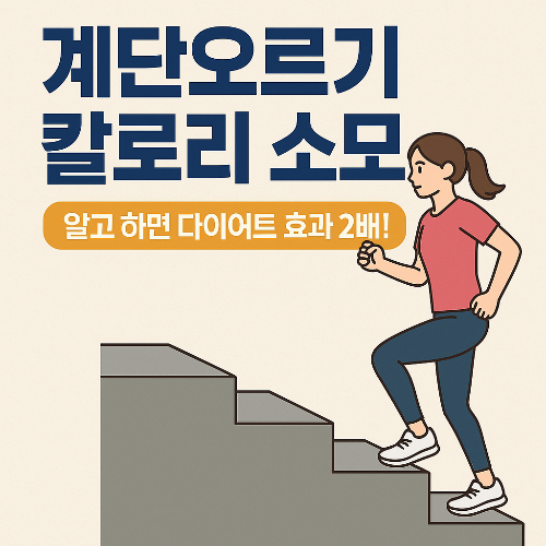 계단오르기