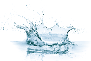 숙취해소효능09