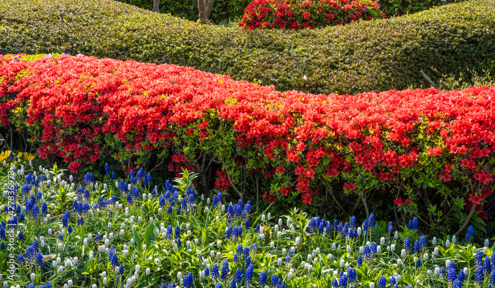 순천만 국가정원