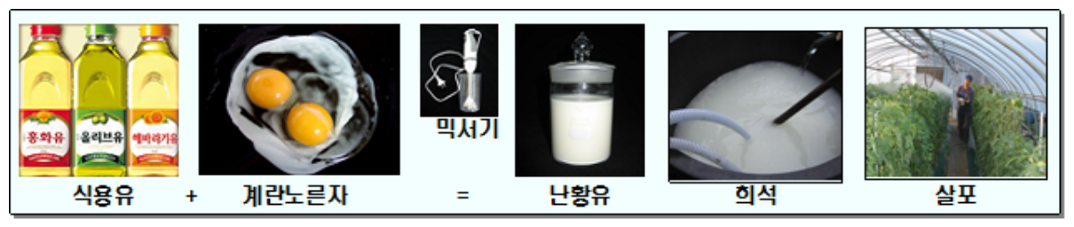 진딧물 퇴치, 제거를 위한 천연 살충제 만드는 방법(feat. 난황유 만드는 방법 및 효과)