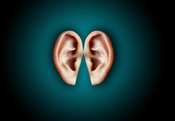 이명에 대한 총정리 관련 사진