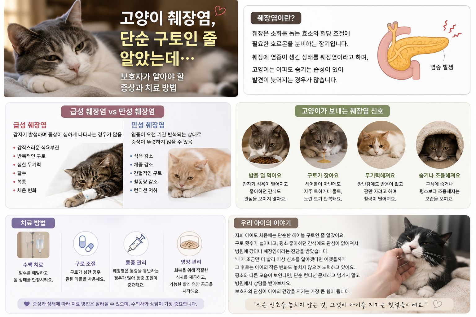 고양이 췌장염