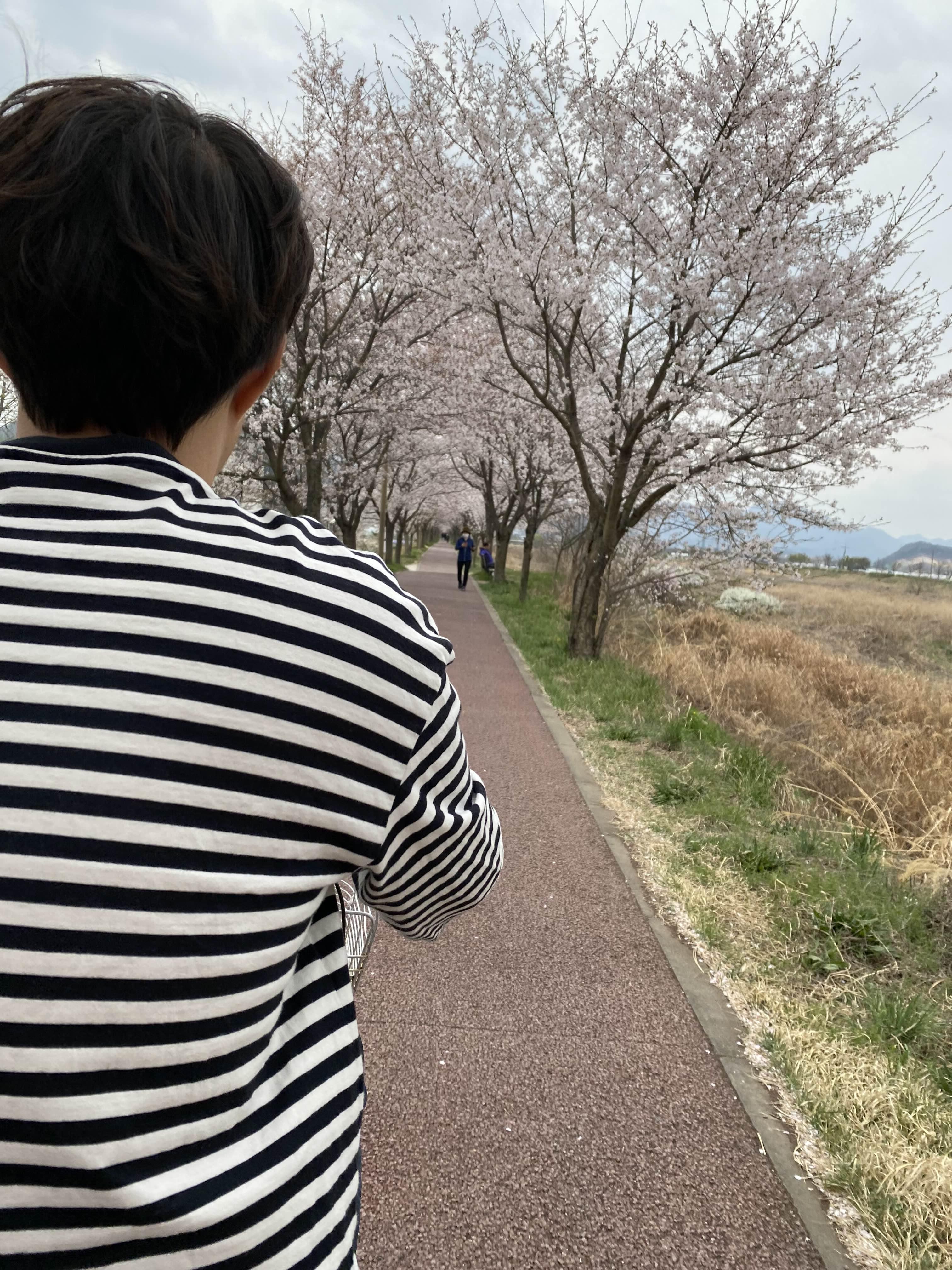 alt 태그