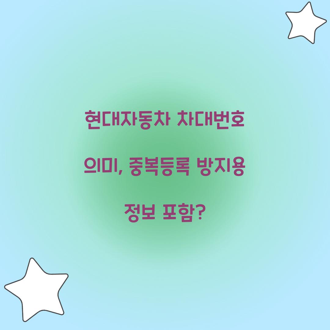 현대자동차 차대번호 의미, 중복등록 방지용 정보 포함?