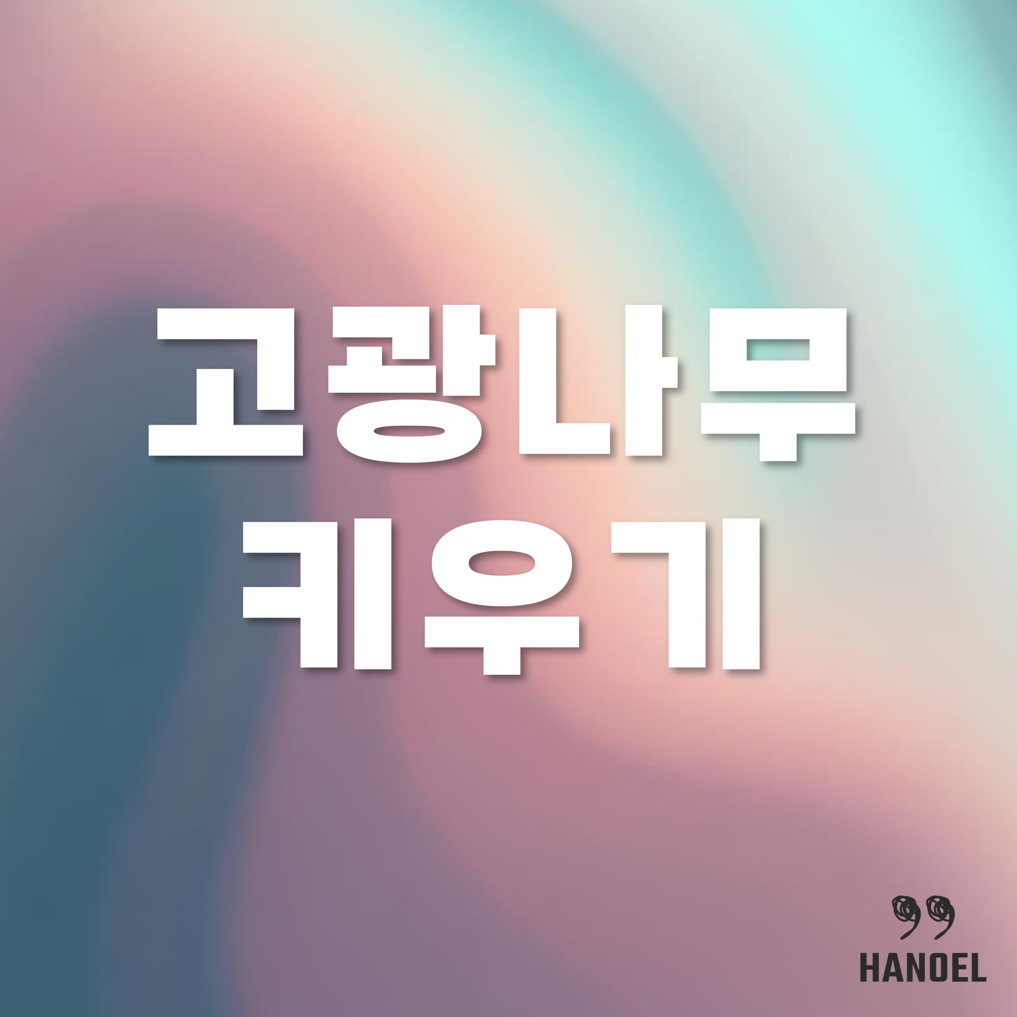 고광나무 키우기
