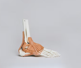 당뇨 전단계 수치 및 관리방법 증상