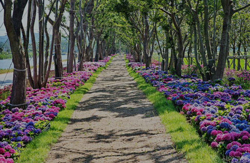 보성 윤제림 입장료