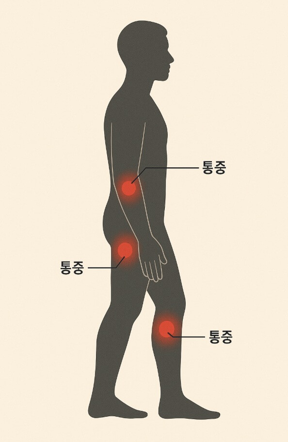 척추관 협착증 운동법