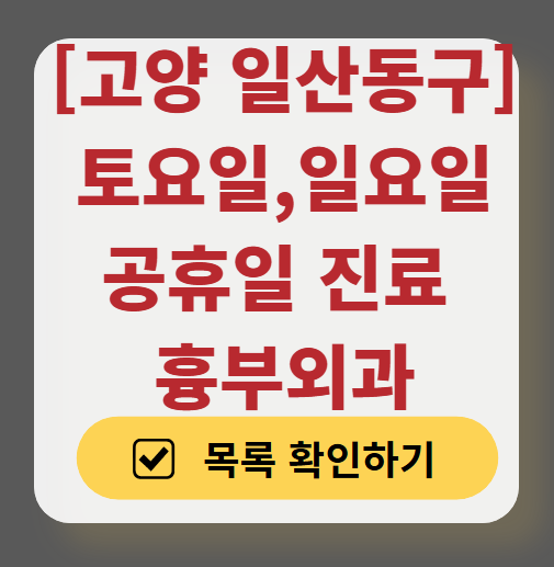 고양시 일산동구 주말 토요일 일요일 흉부외과 진료 병원 목록 ❘ 공휴일 진료 영업 병원 리스트 찾기
