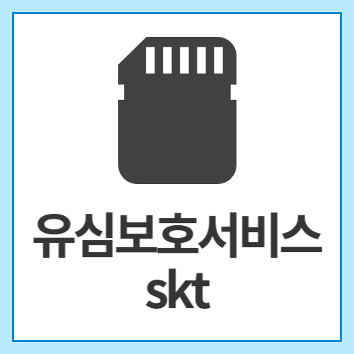 유심보호서비스-skt
