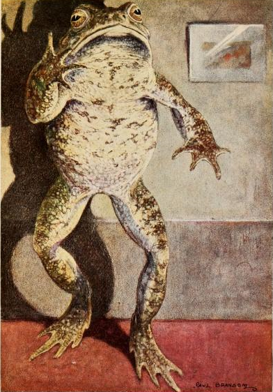 버드나무에-부는-바람-두꺼비-씨