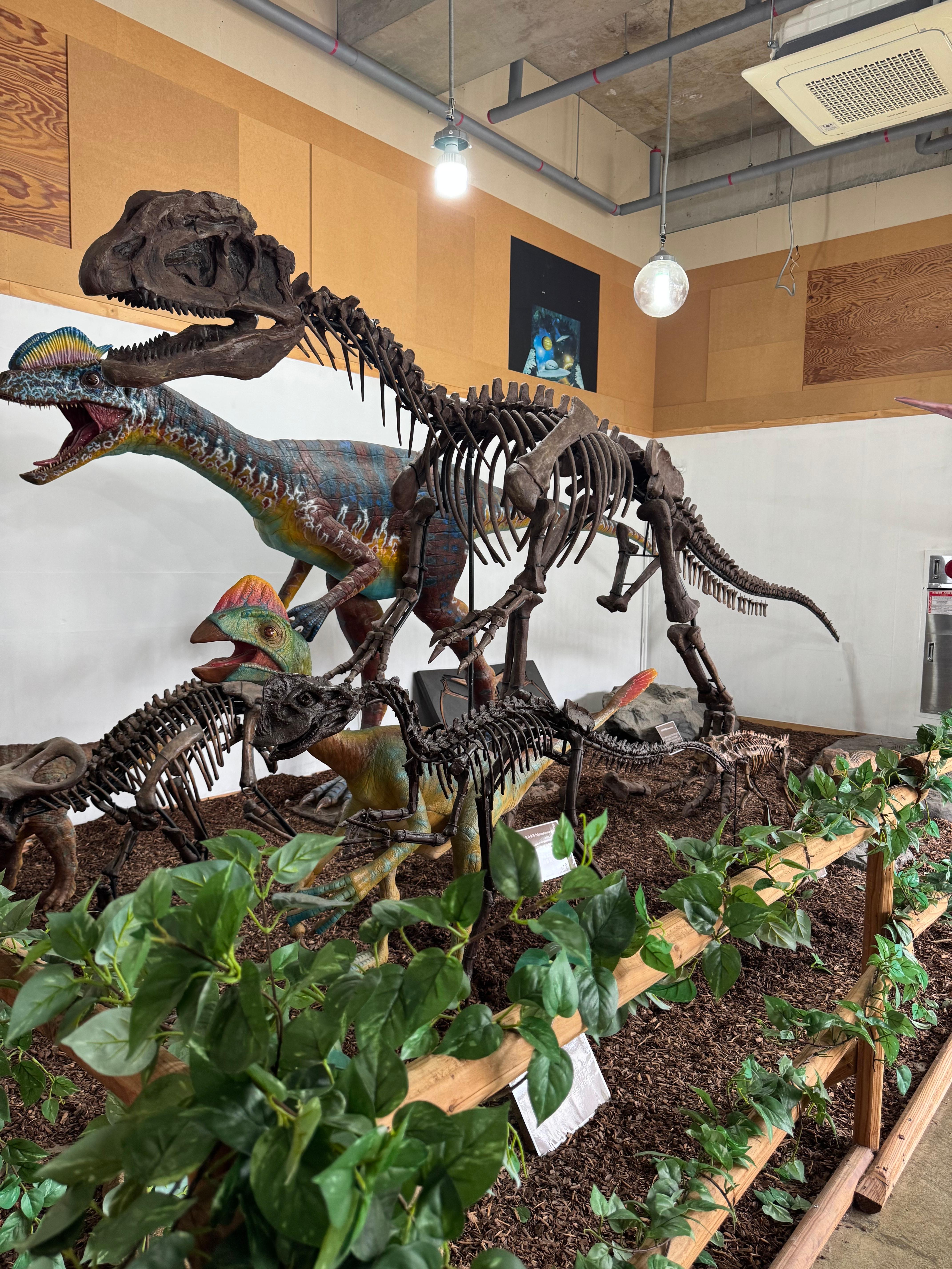 파주공룡박물관, 39개월 아기랑 다녀온 후기 – 아이와 첫 공룡 여행지로 딱!