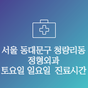 서울 동대문구 청량리동 정형외과 주말 토요일 일요일 문여는 병원 진료시간
