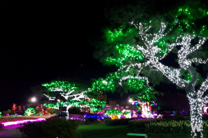별빛축제 이미지 4