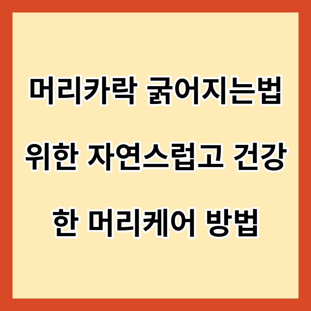머리카락 굵어지는법 위한 자연스럽고 건강한 머리케어 방법