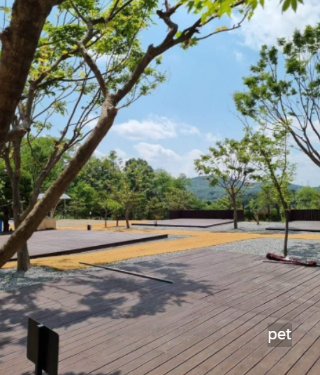 경기-하남-따봄캠핑장-예약-방법-애견-동반-가격-주소-시간-후기