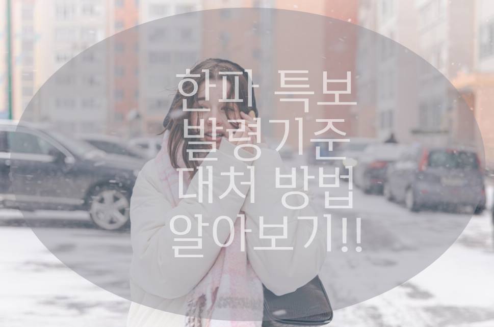 서울 한파특보