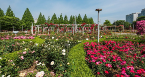 고양꽃박람회 입장료