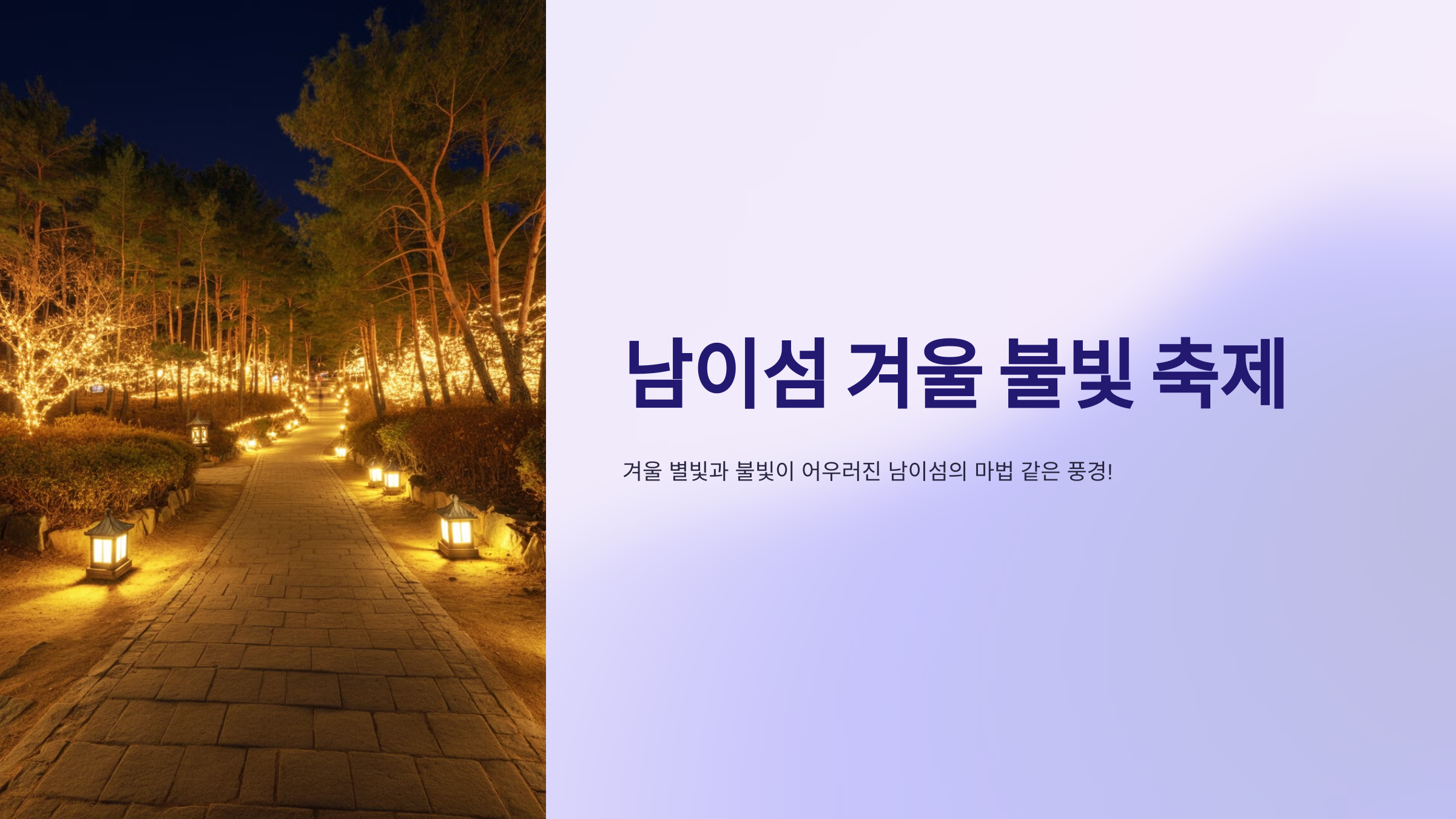 남이섬 겨울 불빛 축제 🌟 놓치면 아쉬운 연말 명소!