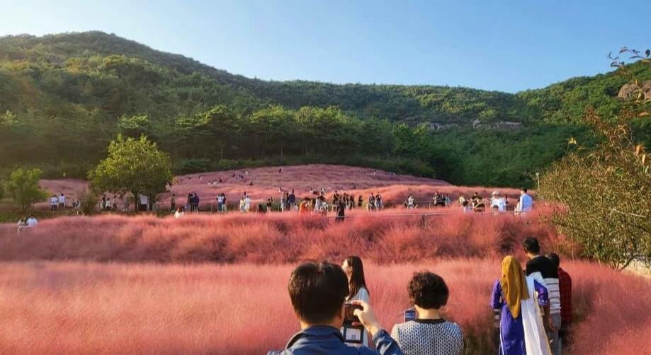 전남 고창 꽃객프로젝트