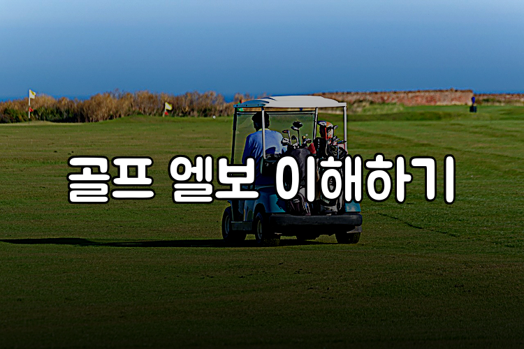 골프 엘보 이해하기