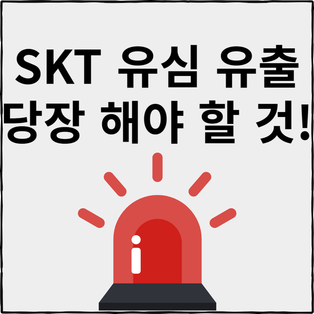 skt 유심 정보 유출 해킹 사고 피해 대응 방법
