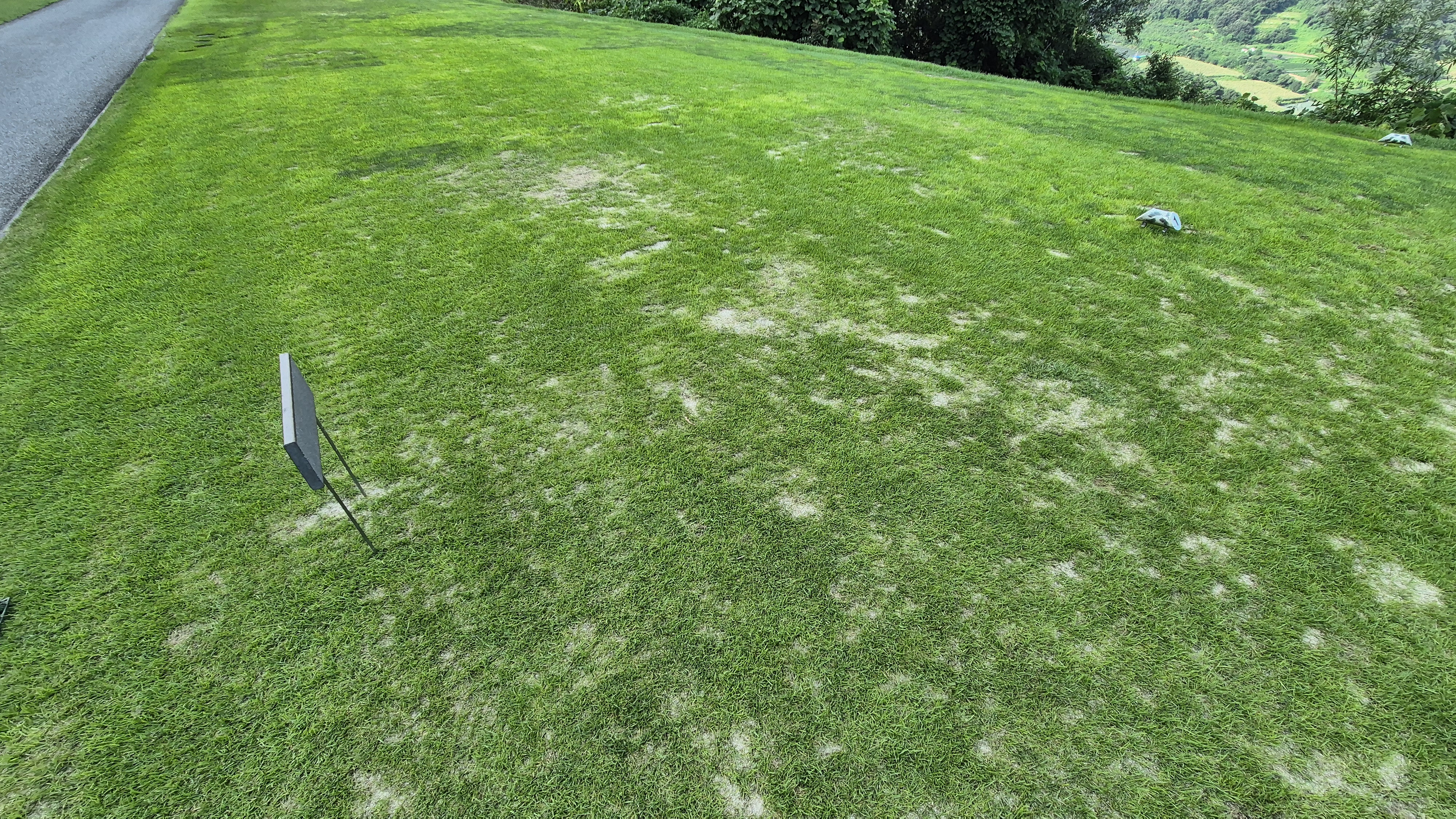 세일cc 들길-산길 코스 라운드 후기