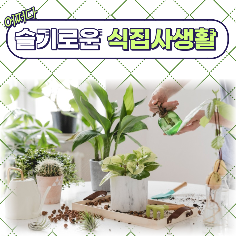 슬기로운 식집사 생활