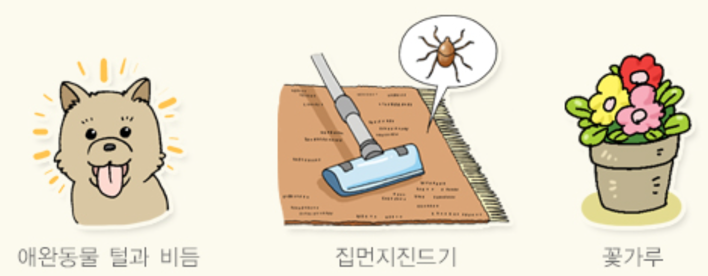알레르기 원인부터 증상&middot;치료