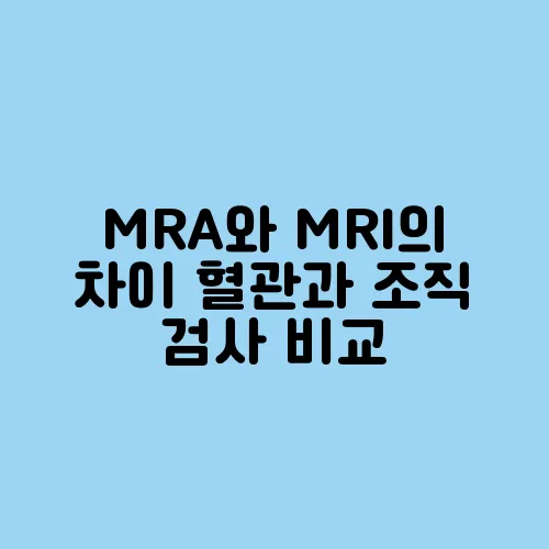 MRA와 MRI의 차이 혈관과 조직 검사 비교